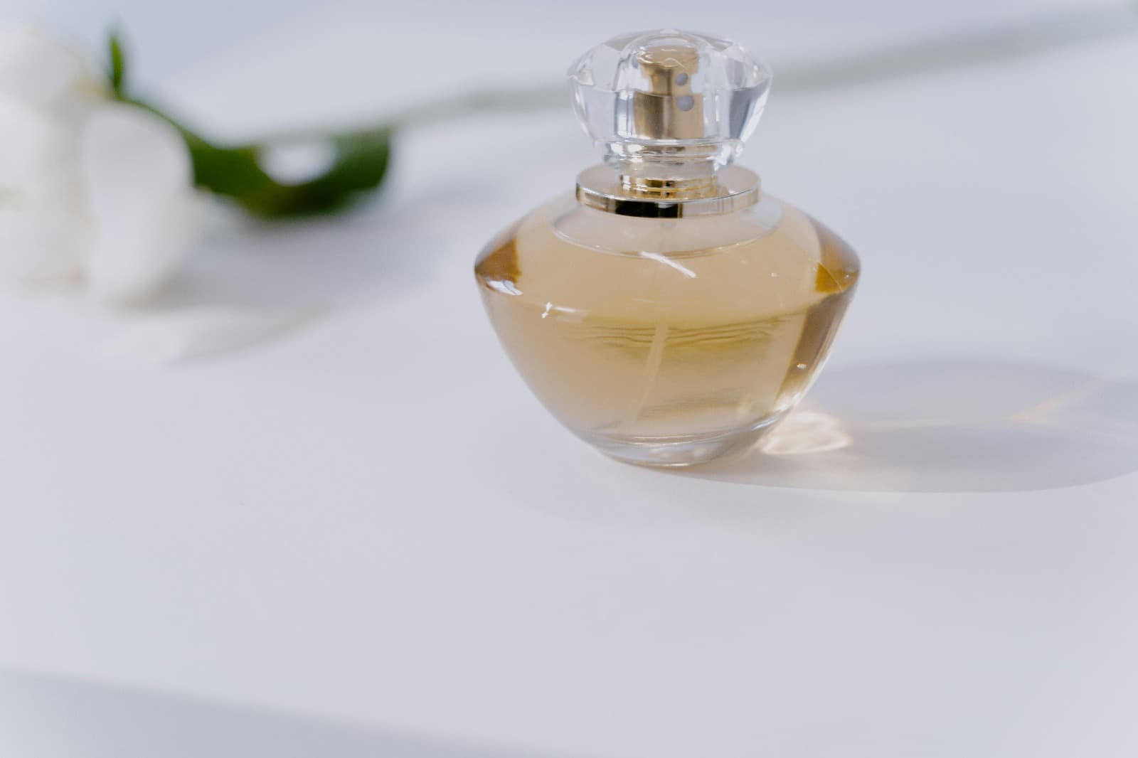 Top 10 New Release Perfume Samples You Must Try This Season