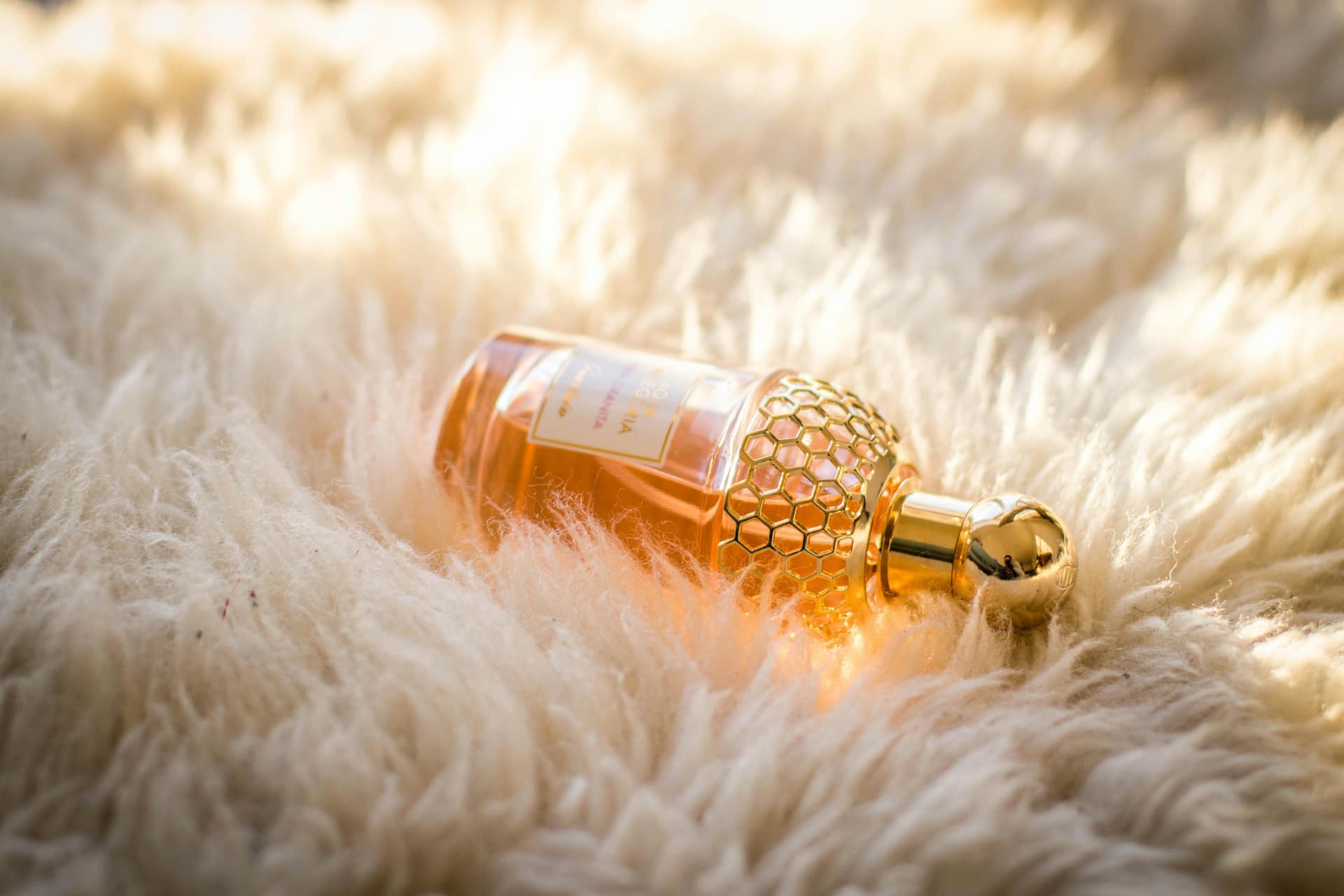 YSL Black Opium Notes Explained: Coffee, Vanilla and White Florals