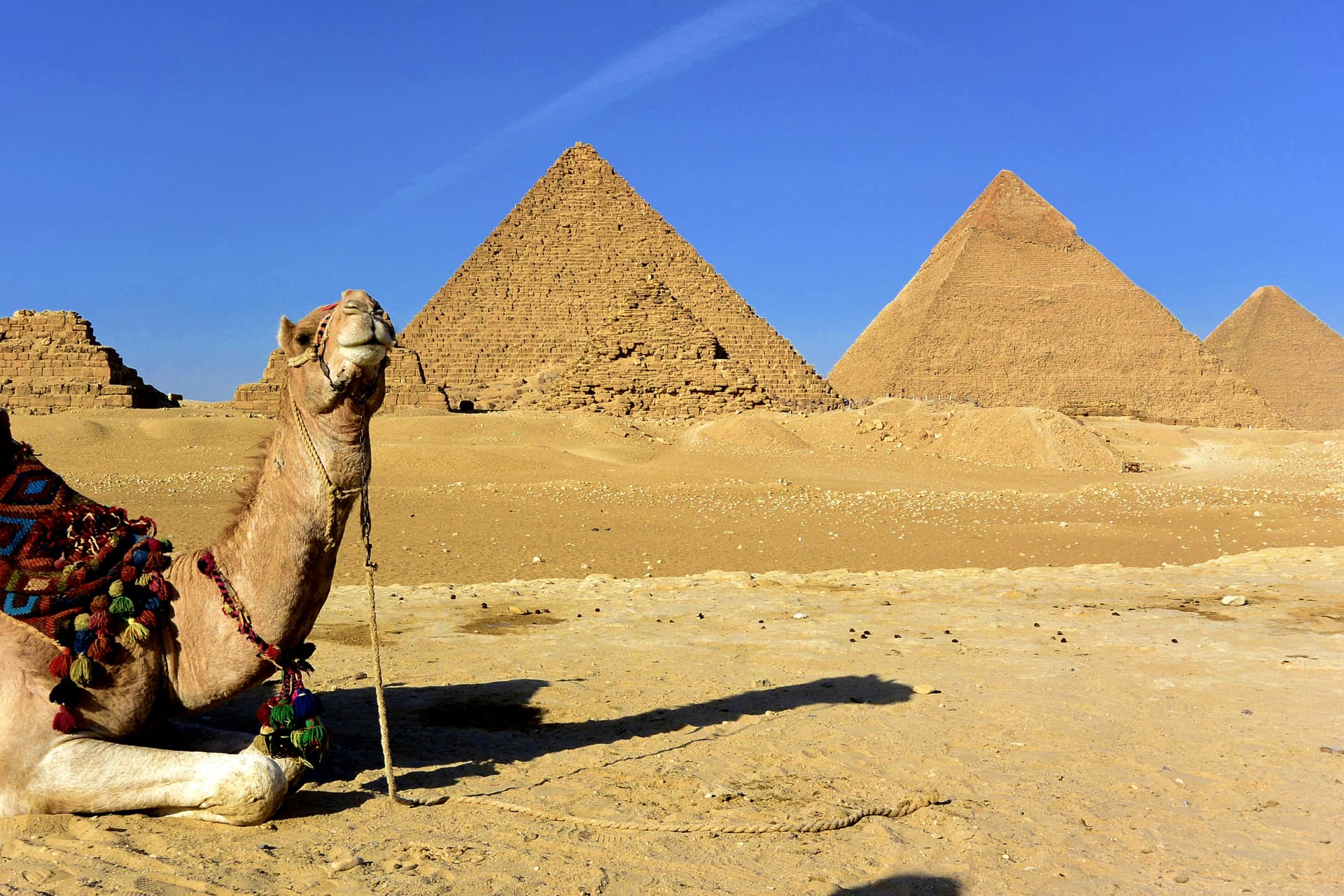 Affordable Jordan Desert Safari Tours for Families and Friends