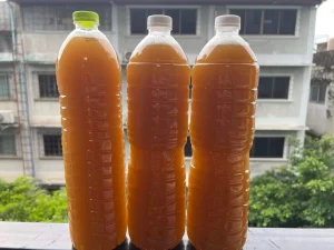 c6535f3c03fa443db84180d7f5404e74