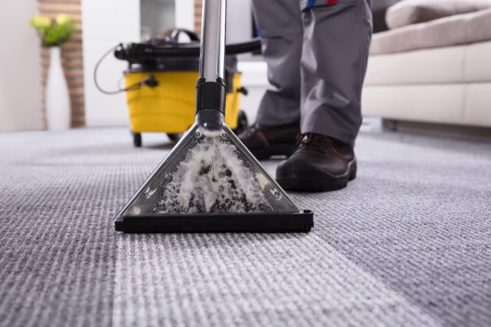 Veteran-Owned Carpet Cleaning Business You Can Rely On